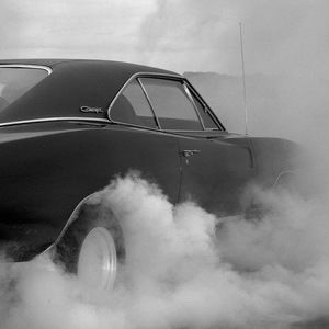 Meet your Posher, Adam